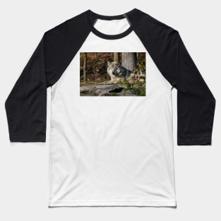 Timber Wolf Baseball T-Shirt